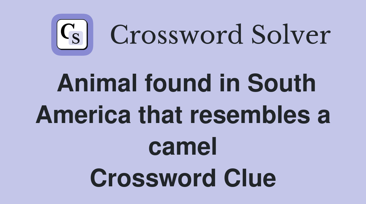 Animal found in South America that resembles a camel - Crossword Clue